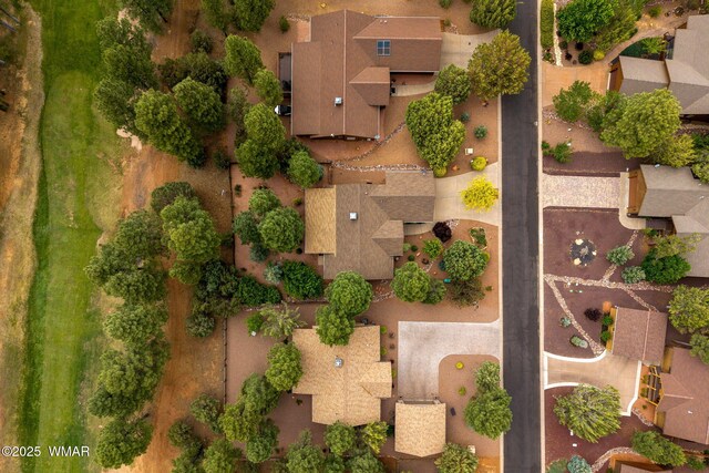 380 N Retreat Dr, Show Low, AZ 85901 - view of property location