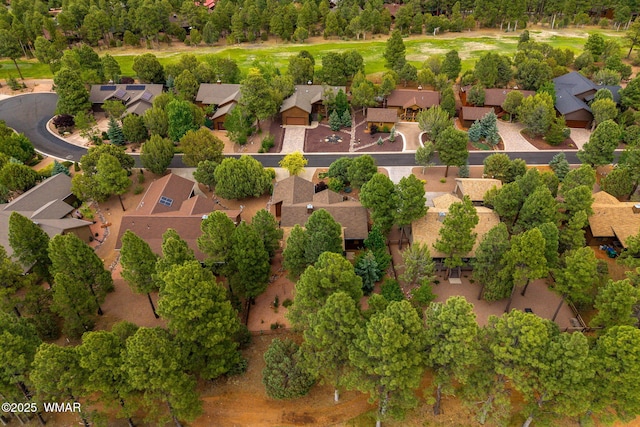 380 N Retreat Dr, Show Low, AZ 85901 - aerial perspective of suburban area