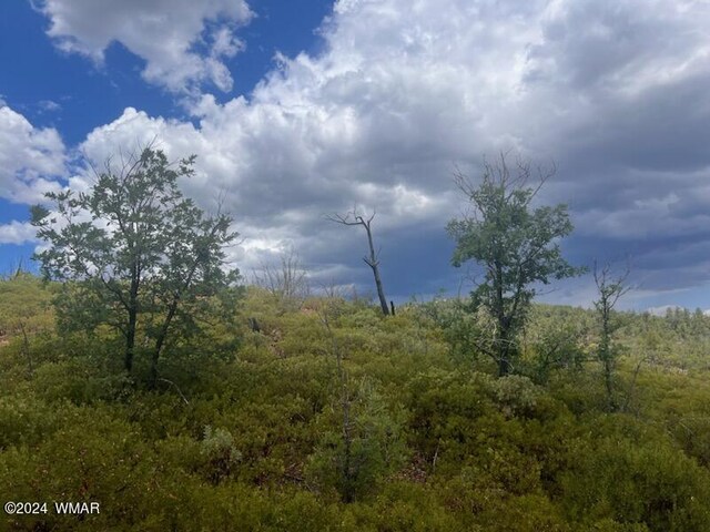 LOT015 Fieldy Rd, Show Low, AZ 85901