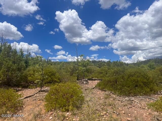 LOT015 Fieldy Rd, Show Low, AZ 85901