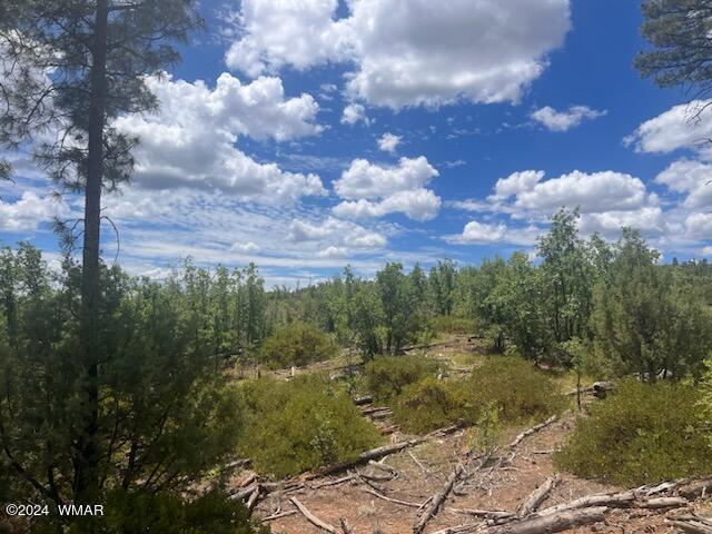 LOT015 Fieldy Rd, Show Low, AZ 85901