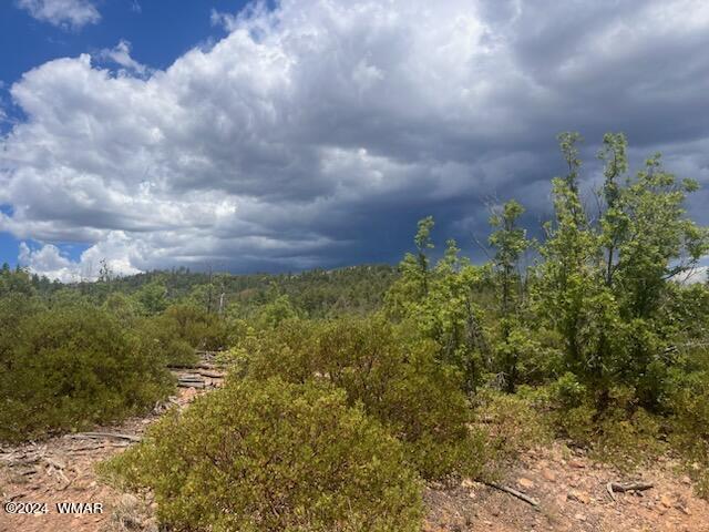 LOT015 Fieldy Rd, Show Low, AZ 85901