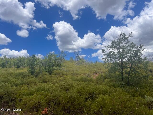 LOT015 Fieldy Rd, Show Low, AZ 85901