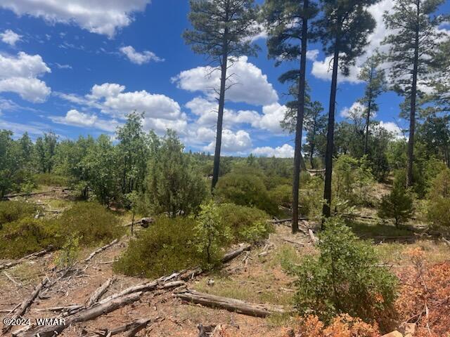 LOT015 Fieldy Rd, Show Low, AZ 85901