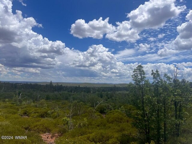 LOT015 Fieldy Rd, Show Low, AZ 85901