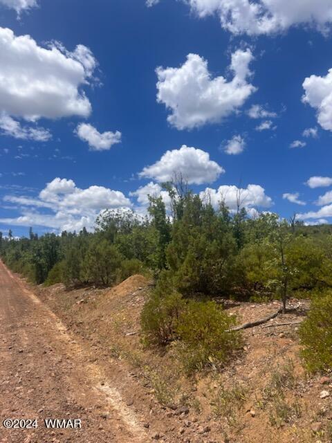 LOT015 Fieldy Rd, Show Low, AZ 85901