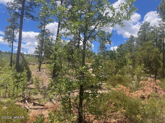 LOT015 Fieldy Rd, Show Low, AZ 85901