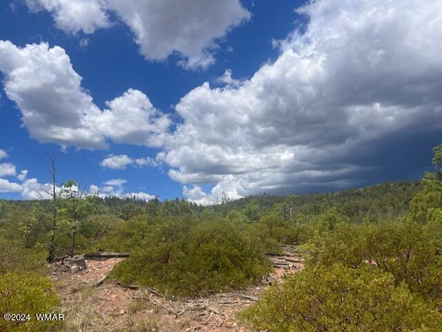 LOT015 Fieldy Rd, Show Low, AZ 85901