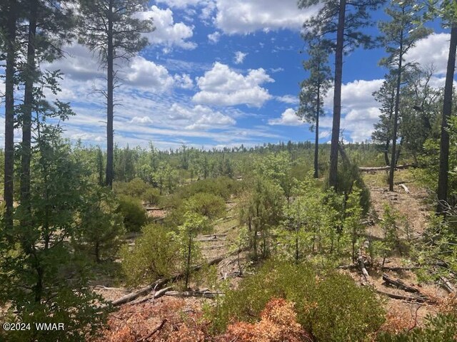 LOT015 Fieldy Rd, Show Low, AZ 85901