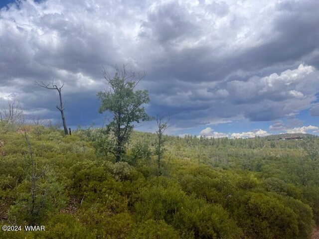 LOT015 Fieldy Rd, Show Low, AZ 85901