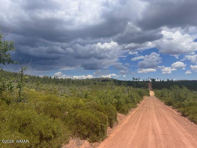 LOT015 Fieldy Rd, Show Low, AZ 85901