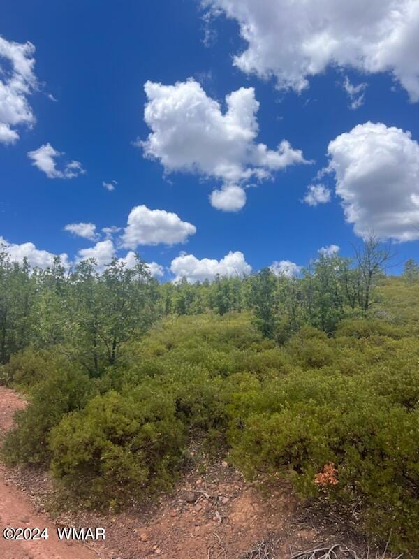 LOT015 Fieldy Rd, Show Low, AZ 85901
