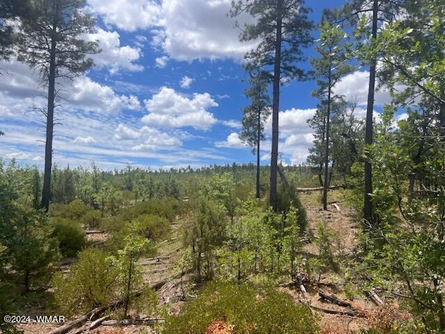 LOT015 Fieldy Rd, Show Low, AZ 85901