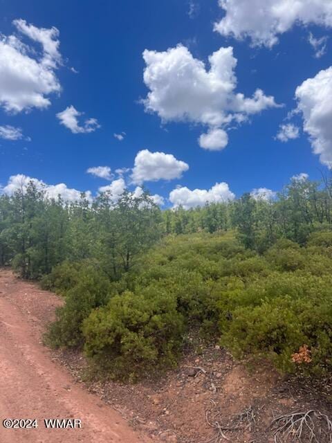 LOT015 Fieldy Rd, Show Low, AZ 85901