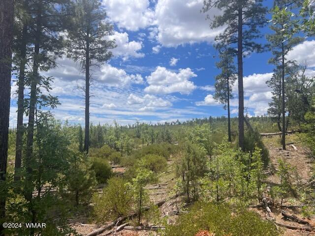 LOT015 Fieldy Rd, Show Low, AZ 85901