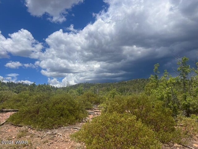 LOT015 Fieldy Rd, Show Low, AZ 85901