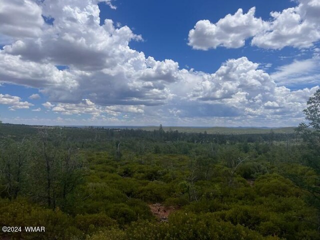 LOT015 Fieldy Rd, Show Low, AZ 85901