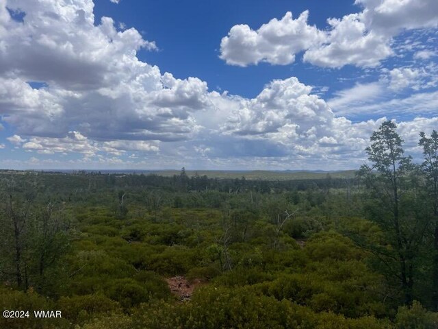 LOT015 Fieldy Rd, Show Low, AZ 85901