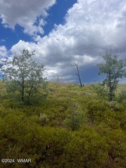 LOT015 Fieldy Rd, Show Low, AZ 85901
