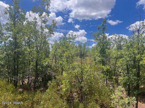 LOT015 Fieldy Rd, Show Low, AZ 85901