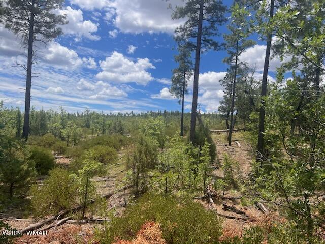 LOT015 Fieldy Rd, Show Low, AZ 85901