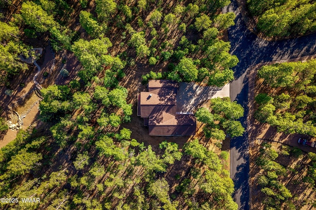 1430 E Pine Oaks Dr, Show Low, AZ 85901 - aerial view of property and surrounding area