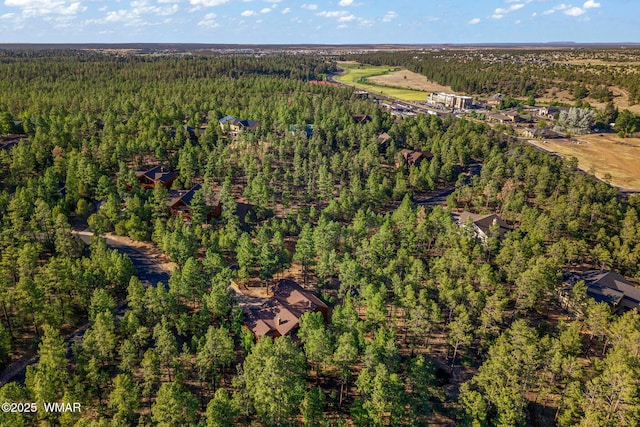 1430 E Pine Oaks Dr, Show Low, AZ 85901 - aerial overview of property's location with a heavily wooded area