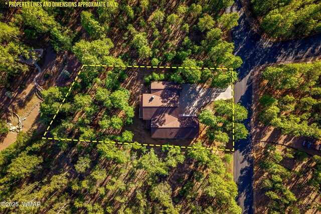 1430 E Pine Oaks Dr, Show Low, AZ 85901 - aerial view