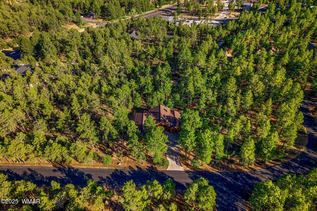 1430 E Pine Oaks Dr, Show Low, AZ 85901 - bird's eye view of a forest