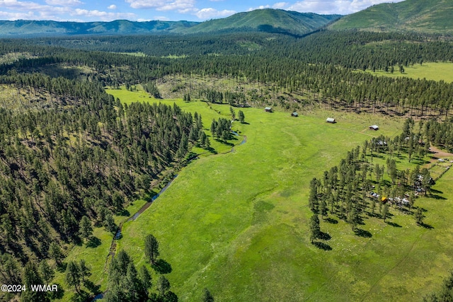8523 Wiltbank Rd, Alpine, AZ 85920