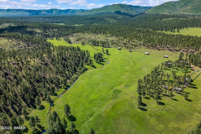 8523 Wiltbank Rd, Alpine AZ, 85920 land for sale