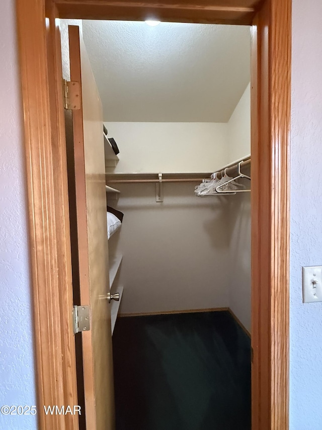 view of walk in closet