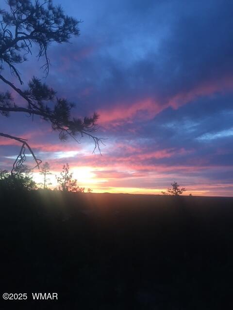view of nature at dusk