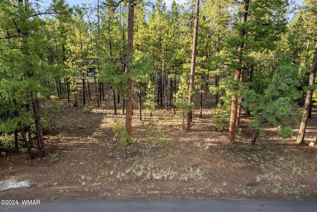 6938 Palomino Dr, Pinetop AZ, 85935 land for sale