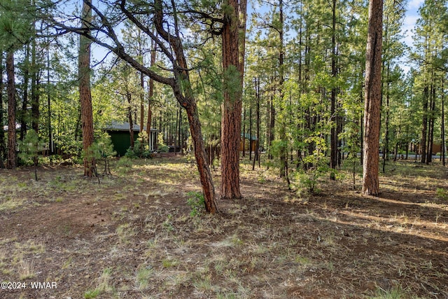 Listing photo 3 for 6938 Palomino Dr, Pinetop AZ 85935