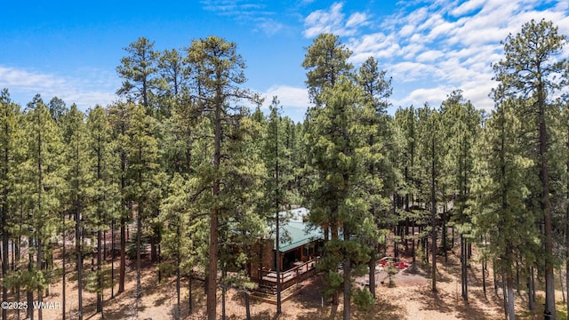 7572 White Oak Rd, Pinetop, AZ 85935 - photo 82