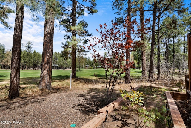 7572 White Oak Rd, Pinetop, AZ 85935 - photo 78