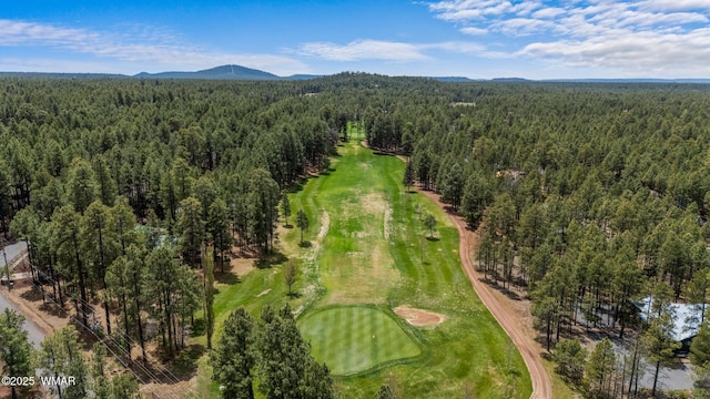 7572 White Oak Rd, Pinetop, AZ 85935 - photo 3