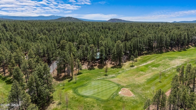 7572 White Oak Rd, Pinetop, AZ 85935 - photo 83