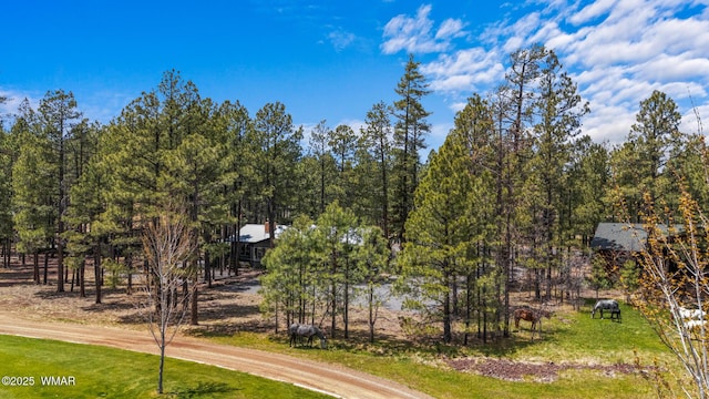 7572 White Oak Rd, Pinetop, AZ 85935 - photo 79