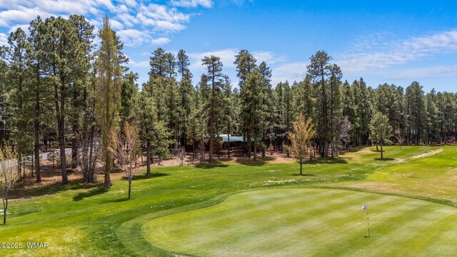 7572 White Oak Rd, Pinetop, AZ 85935 - photo 80