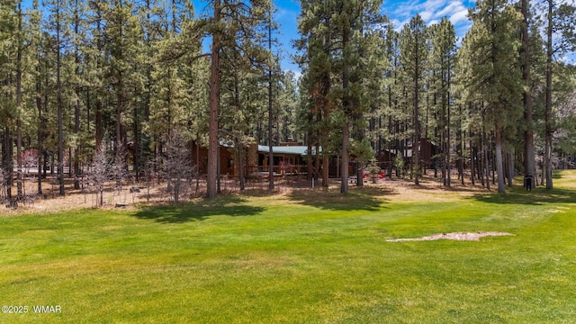 7572 White Oak Rd, Pinetop, AZ 85935 - photo 81