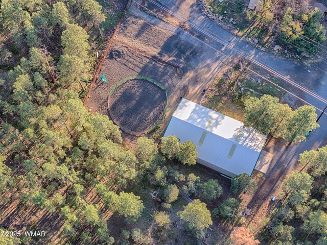 702 Flag Hollow Rd, Lakeside, AZ 85929 - photo 6