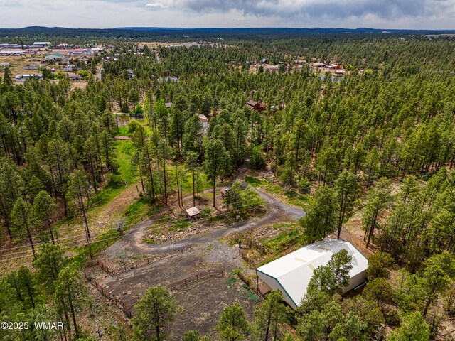 702 Flag Hollow Rd, Lakeside, AZ 85929 - photo 49