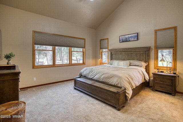 702 Flag Hollow Rd, Lakeside, AZ 85929 - photo 22