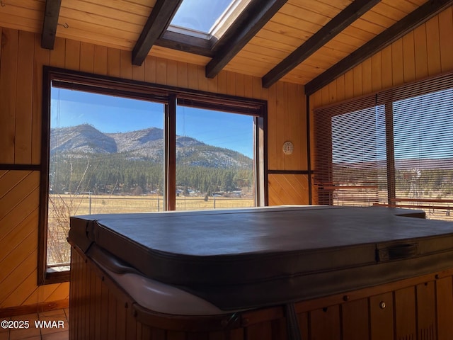 recreation room featuring wood walls, plenty of natural light, and a mountain view