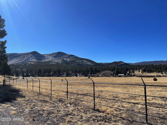 property view of mountains with a rural view