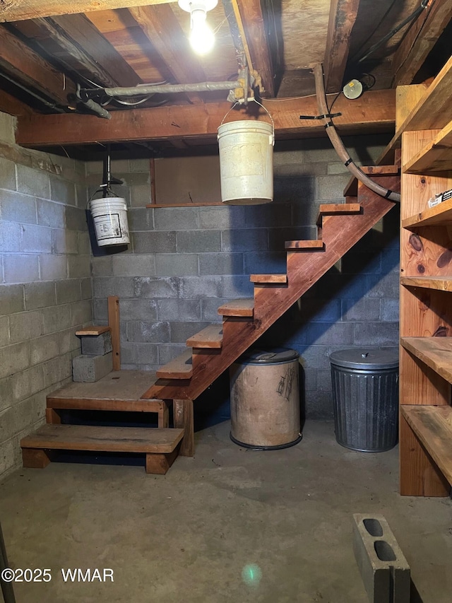 unfinished basement featuring concrete block wall