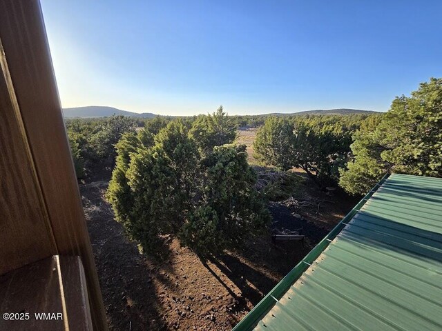 16 Acr 3116, Vernon, AZ 85940 - photo 36