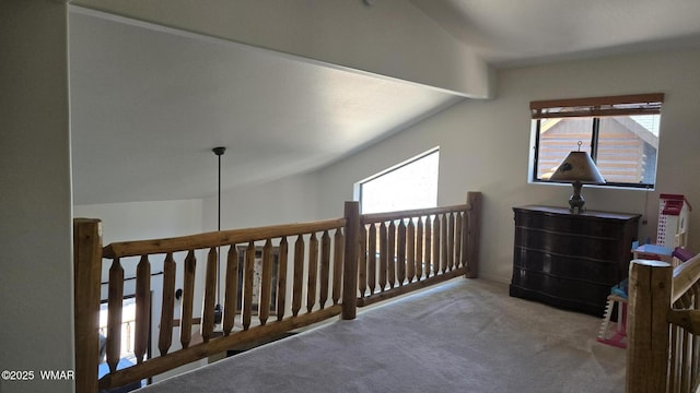 3024 Buck Crossing Way, Pinetop, AZ 85935 - corridor with carpet floors